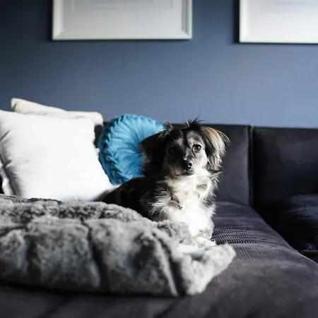 Stylische In Meeresnaehe Apartament Wilhelmshaven